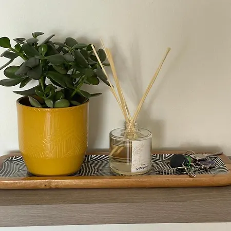 Floor Avenida Arriaga 802 *