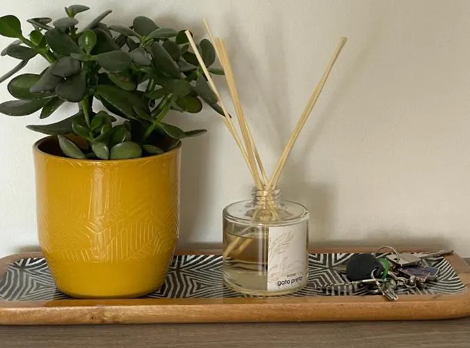 Floor Avenida Arriaga 802 *